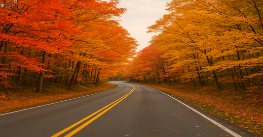 🍁 When Do Leaves Change? Fall Foliage Timing Across the U.S.